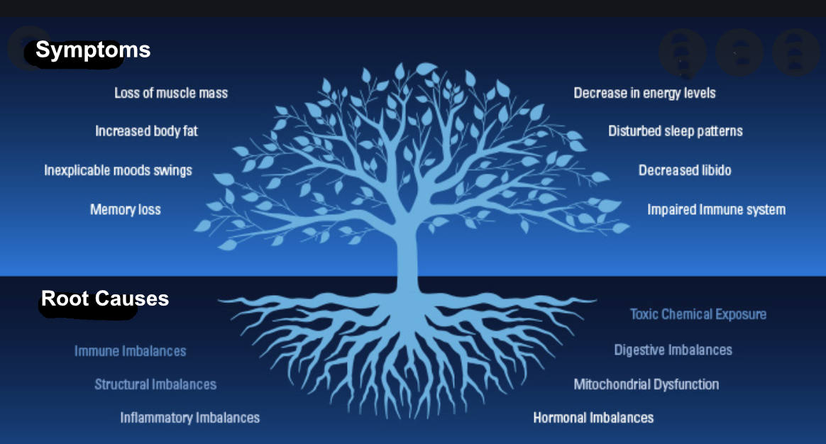 functional-nutrition-explained-good-food-guide